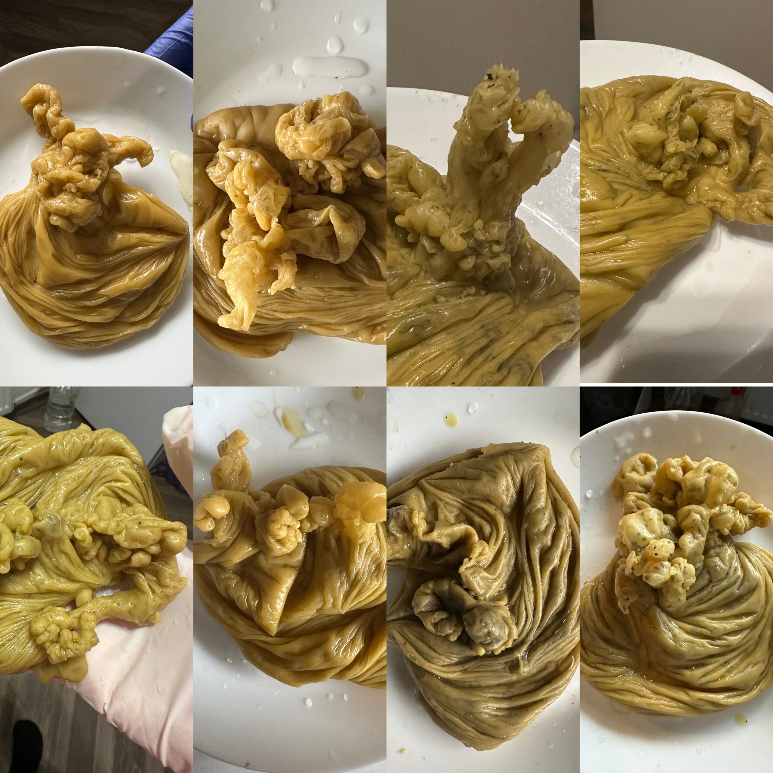 ENERGETINIO LAUKO DIAGNOSTIKA (VAŠKU)